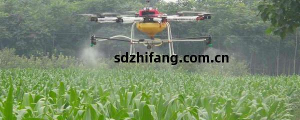 多菌(jun)靈的作(zuo)用(yong)及(ji)正確(que)施用(yong)方法